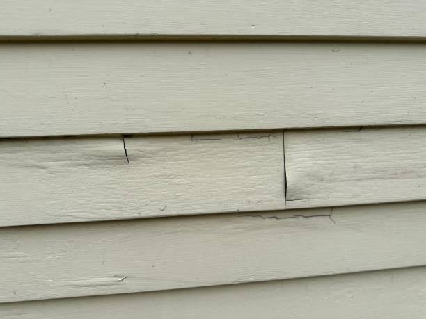 Affordable Siding Repair and Maintenance Services in Fox Island, WA